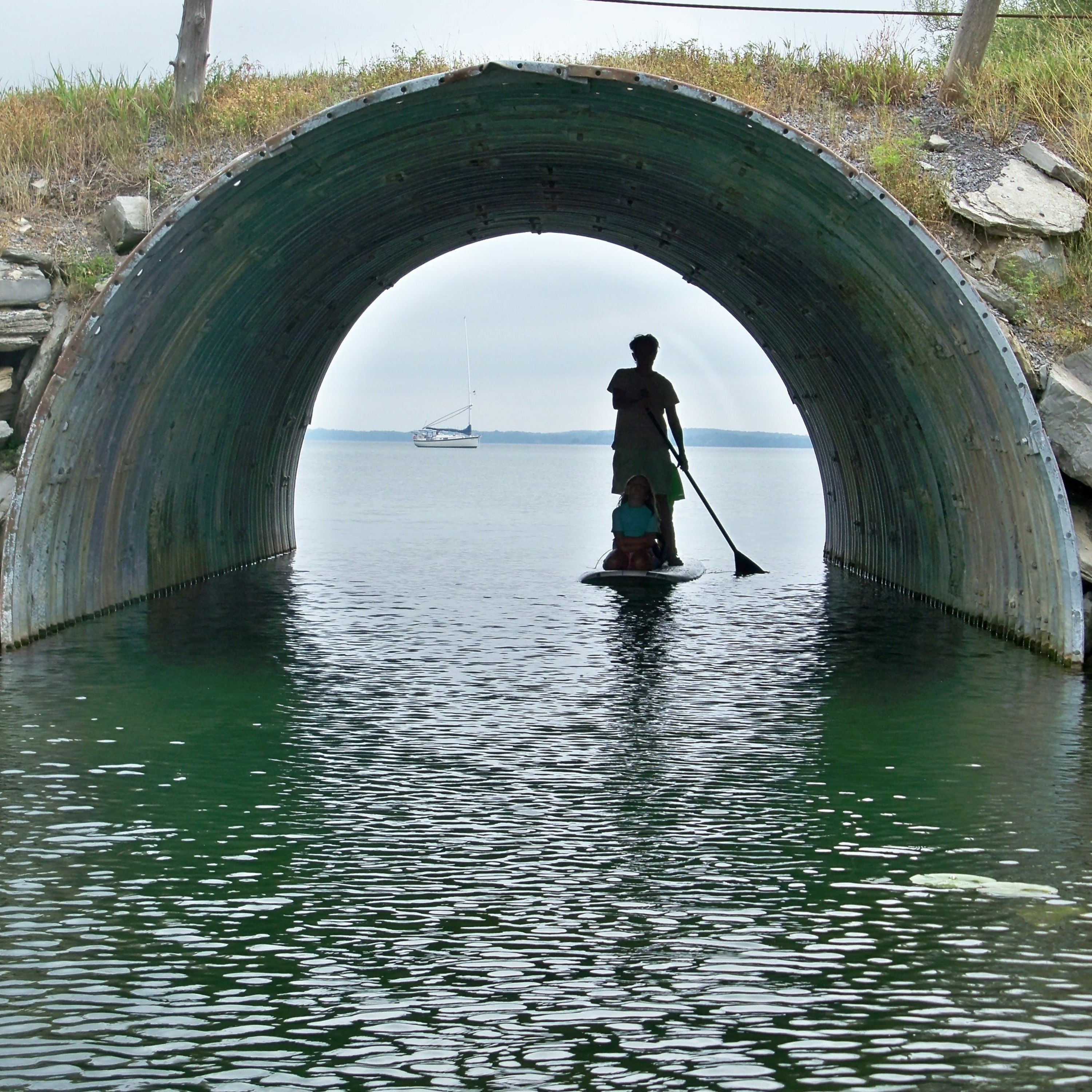 Menagerie Bluff Radio