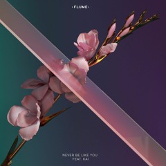 Flume- Never Be Like You (REMIX)