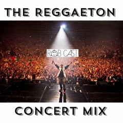 The Reggaeton Concert Mix