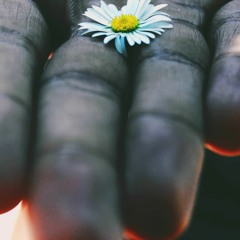 Winter Flower Of The Desert || Eunoia