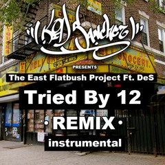 The East Flatbush Project Ft. DeS - Tried By 12 ( KID Sanchez Remix ) - INSTRUMENTAL