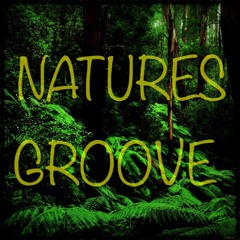 Natures Groove