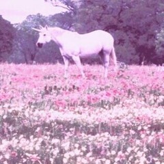 I do it (The Unicorns cover)