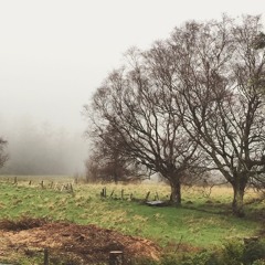 Take Me To Church (cover) with @orlamalawi