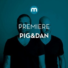 Premiere: Pig&Dan 'Funk Of The Moog'