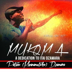 Mukoma - A dedication to Itai Dzamara (Patson Dzamara)