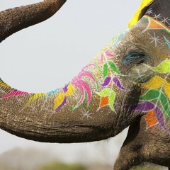 Timor Jana-my india(Original mix)
