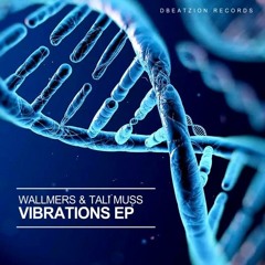 Wallmers & Tali Muss - Vibrations (Original Mix)