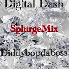 Diddybop Digital Dash