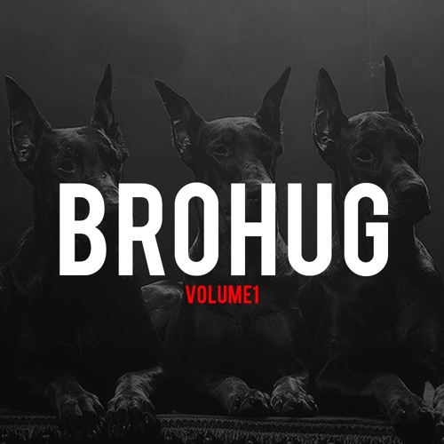 BROHUG VOL. 1