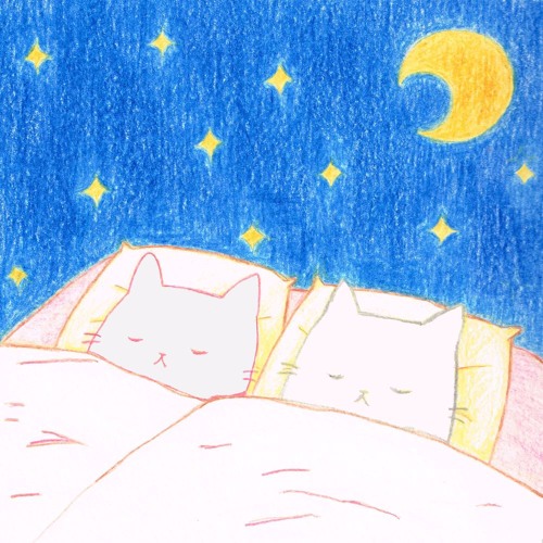 Starry Cats