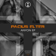 Pacius Elter - Anyon (EP Preview [Gynoid Audio])