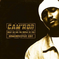 Cam'ron - What Mean The World To You (DJ HOMEWRECKR Edit)