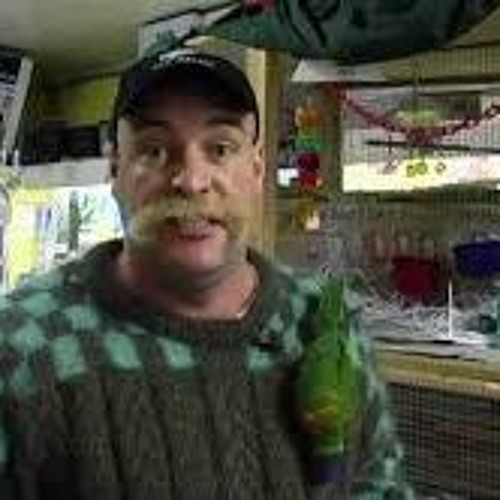 Stream Hamster Man From Amsterdam NZTV Moon TV by andrew