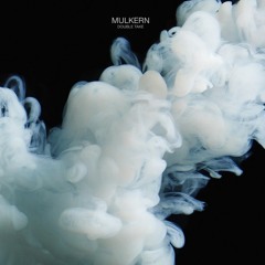 Mulkern - Double Take
