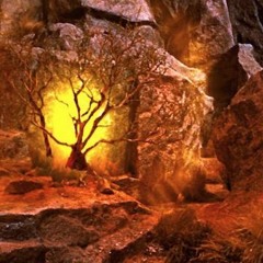 The Burning Bush- Kiahk 2015- Arsani Sidarous