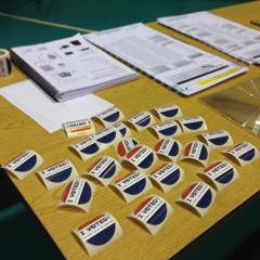 7,800 election judges work to help voters throughout Cook County