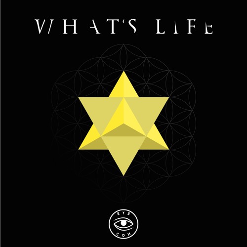 What's Life? - Sense x BTU x CHEF x Mary B Jane (Prod. Visual Rich)