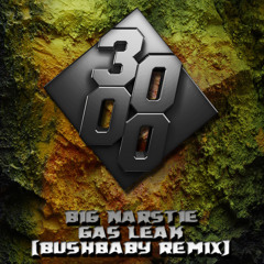 Big Narstie - Gas Leak [Bushbaby Remix]
