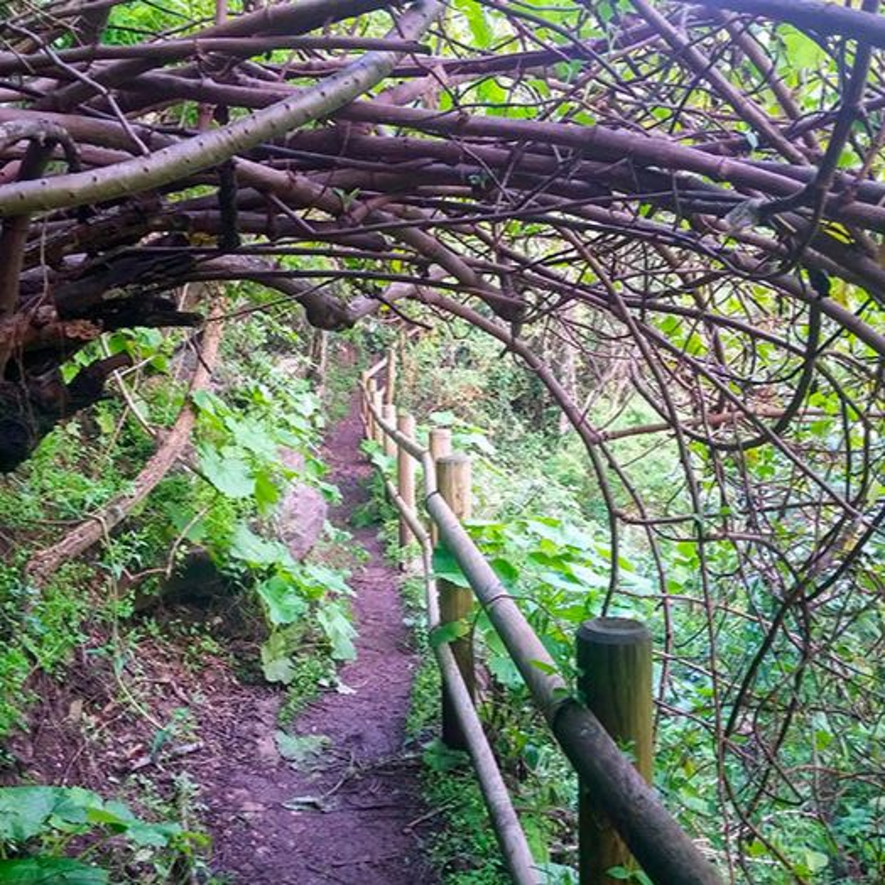 Adventure Gran Canaria