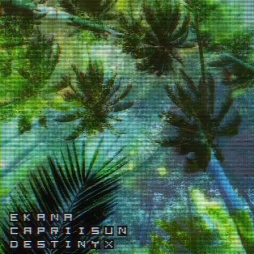 Stardust (Caprii's Interlude)