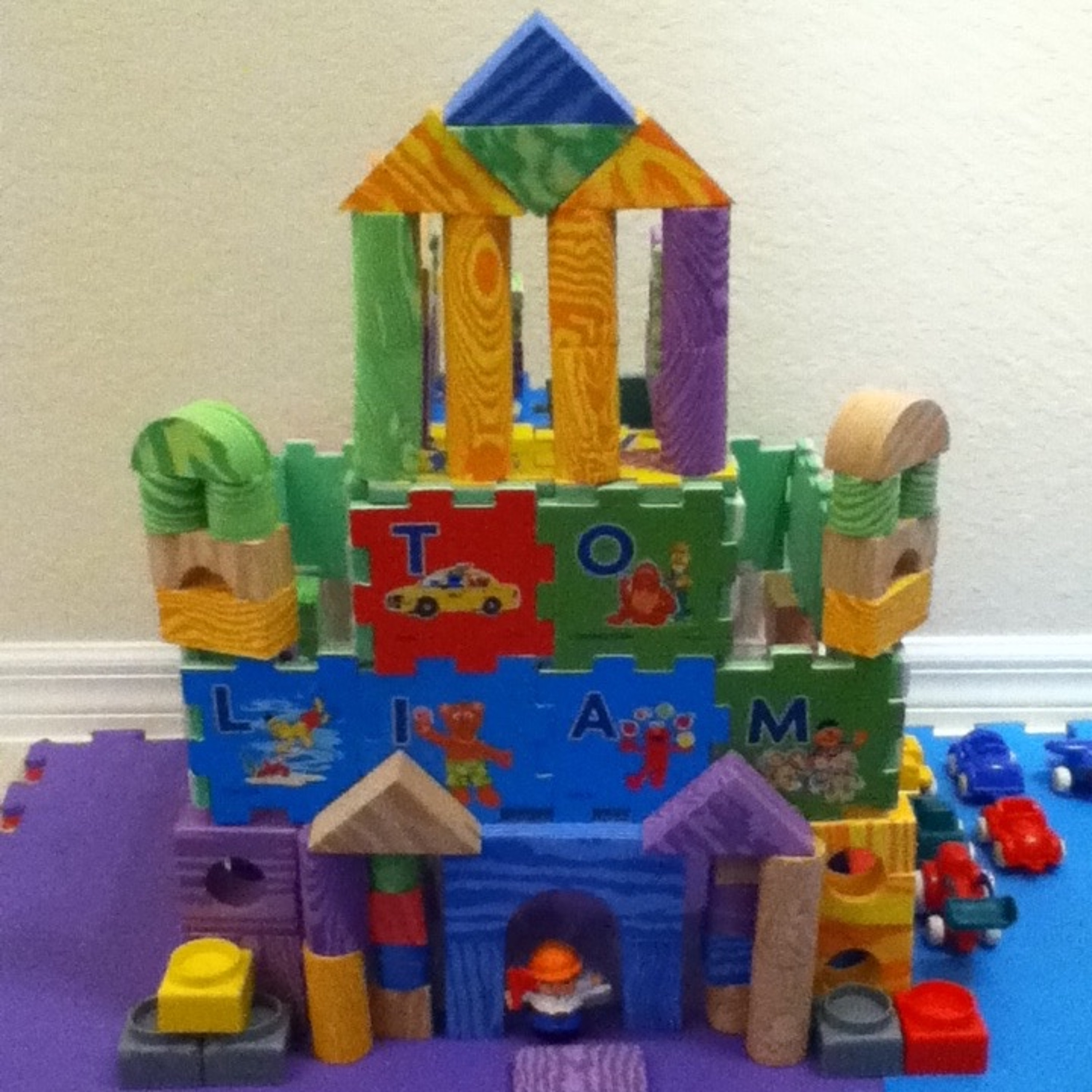 That Castle From Toys R' Us!