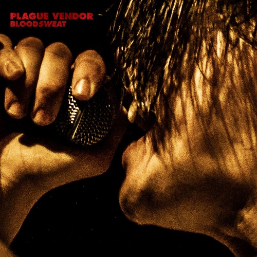 Plague Vendor - Chopper