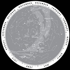 The Phenes - Booze Babe