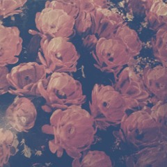 rough drafts // loops // ideas