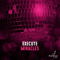 Execute - Miracles [OUT NOW - Flamingo Recordings]