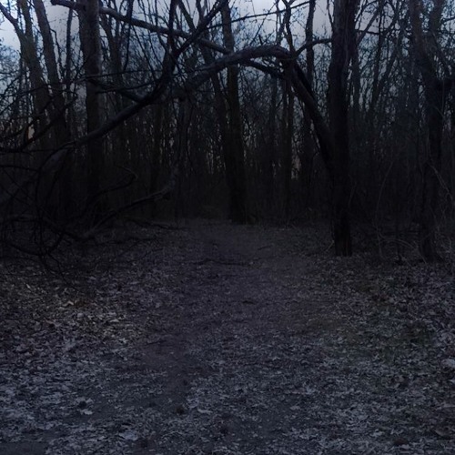 kryptik & ɐɹᵗʰrᶰ - taking steps back