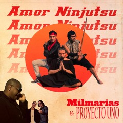 Amor Ninjutsu