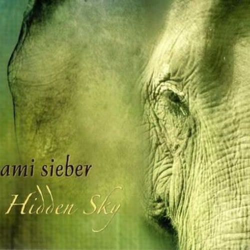 Jami Sieber - Out Of The Mist