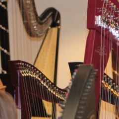 Chanson dans la Nuit (Song in the Night) - Carlos Salzedo