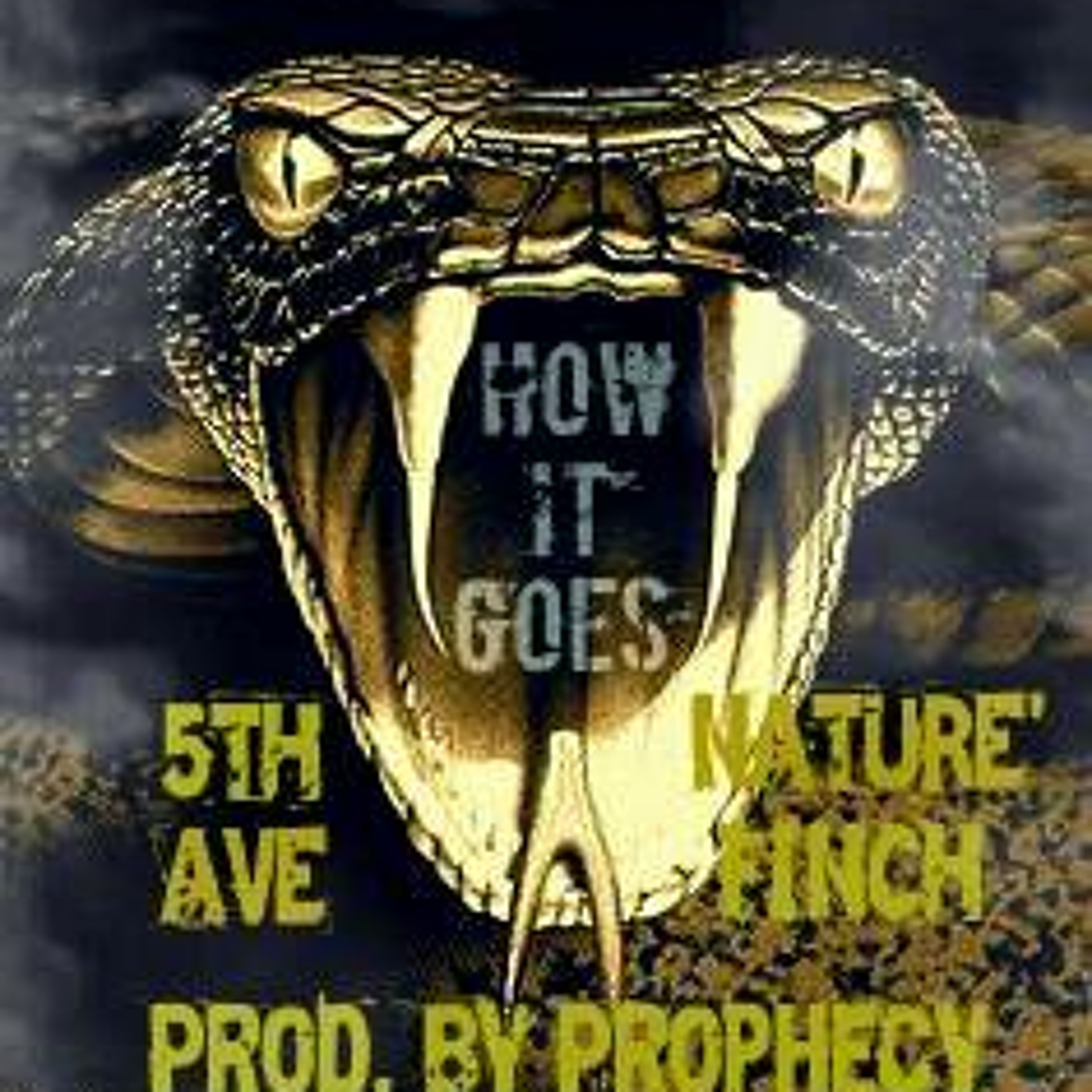 How It Goes Ft Nature' Finch (prod. by Prophecy) episode artwork