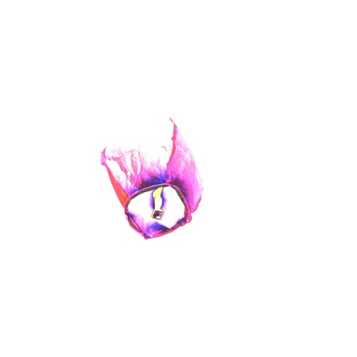 🫀