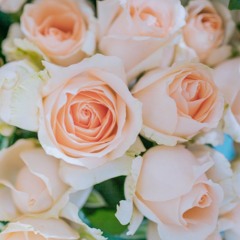 Bhakti Lalita Devi - Kabe habe bolo acapella