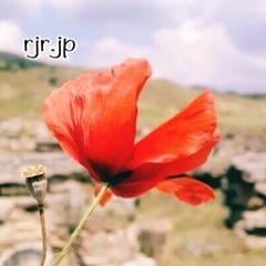 希望の花 Hope of Flower