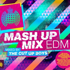 The Cut Up Boys - Mash Up Mix EDM - minimix