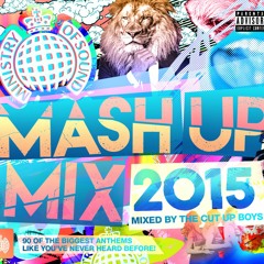 The Cut Up Boys - Mash Up Mix  2015 - minimix