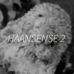 HAANSENSE 2