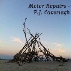 Motor Repairs