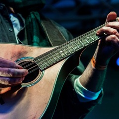 Murphy's Law - Humors Of Berlin