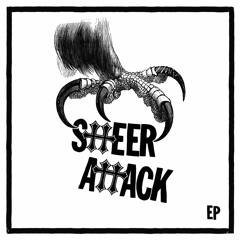 Public Service Offender