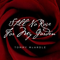 Still No Rose (For My Garden)