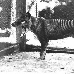 Adrift in the stars (Jam session 2016)