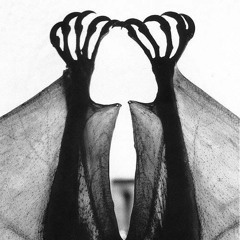 ...Wide Is The Journey Through The Night... - for electronic sounds