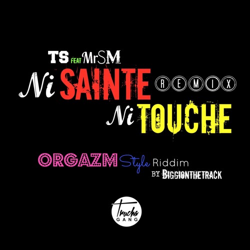 TS Feat MrSM - -ni Sainte Ni Touche -(REMIX) ( TruchaGang )