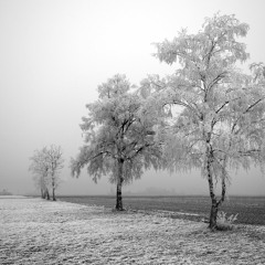 The Winter Returns