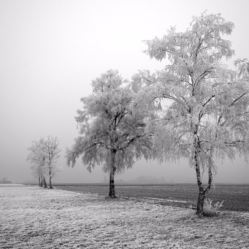 The Winter Returns